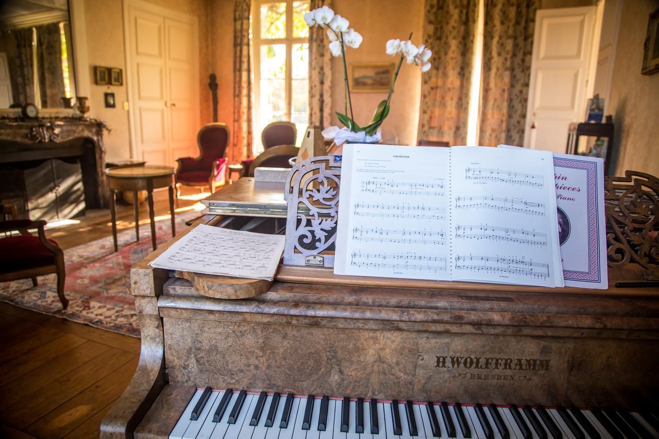 Chambres D'hotes Chateau De La Puisaye Bed & Breakfast